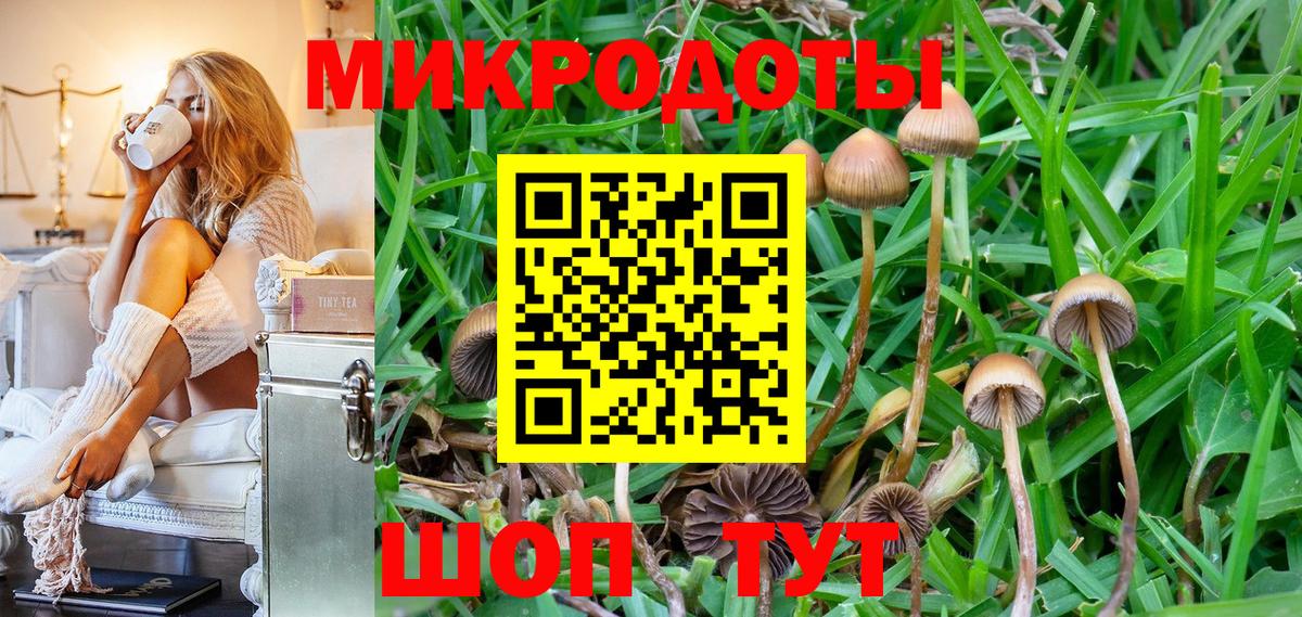 Владикавказ  Псилоцибиновые грибы MAGIC MUSHROOMS  Вход с VPN 