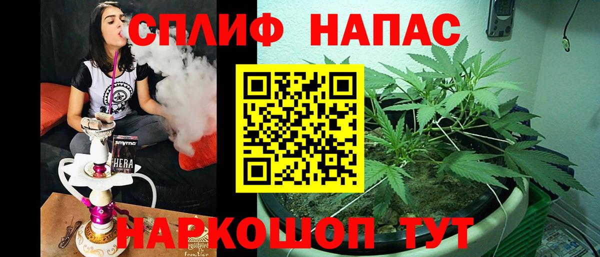 Конопля сатива Владикавказ